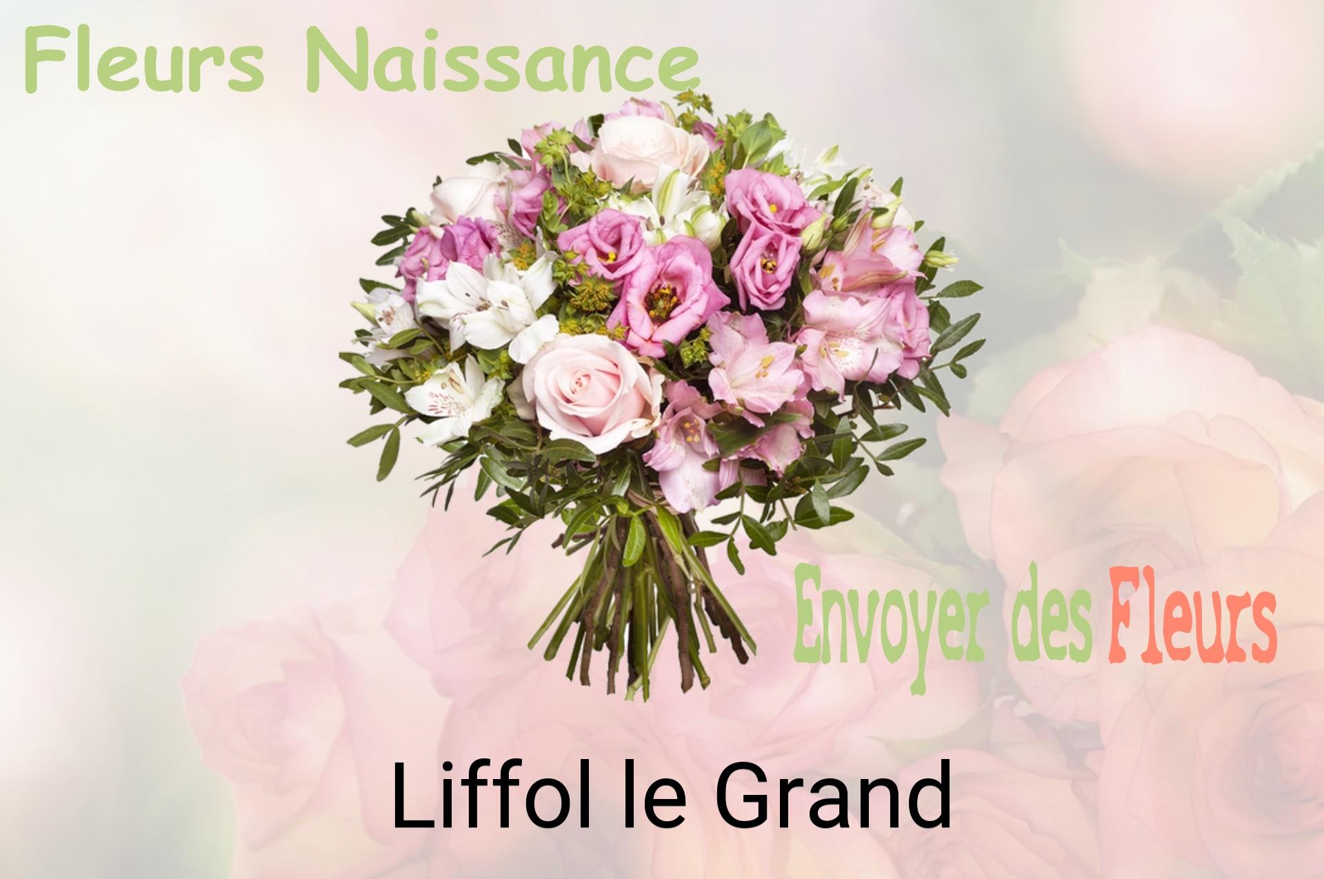 Bouquet de fleurs de naissance livré à Liffol-le-Grand